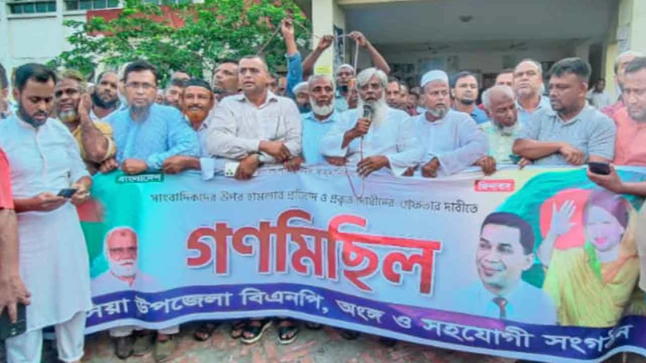 কাপাসিয়ায় সাংবাদিকদের উপর হামলাকারীদের গ্রেফতারের দাবিতে বিএনপির গণ মিছিল